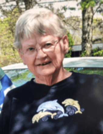 Janice L. (Hobbs) Dresser Obituary