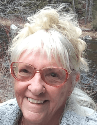 Jo-Anne Snyder Obituary