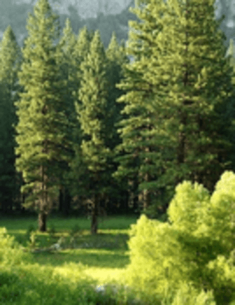 Jean E. Dube Obituary